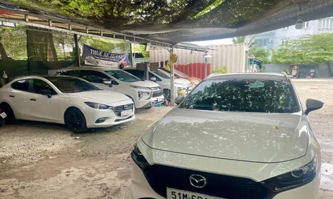 Thuê xe tự lái dịp Tết: Hết loại giá rẻ