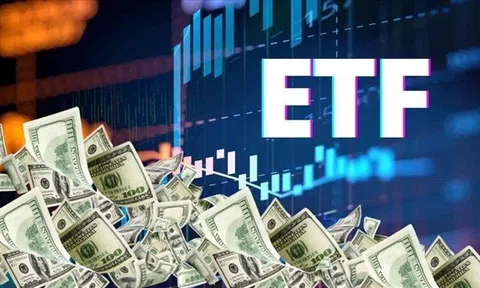Các quỹ ETF tại Việt Nam bất ngờ hút tiền trở lại trong tháng 1