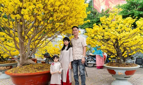 Chiêm ngưỡng cặp mai giảo "khủng" gần 40 năm tuổi, giá 700 triệu đồng ở TPHCM