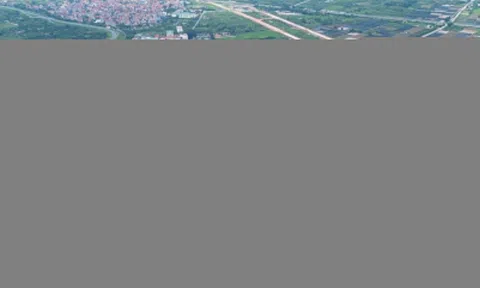 4 phân khúc bất động sản dự báo hút mạnh dòng tiền đầu tư 2026