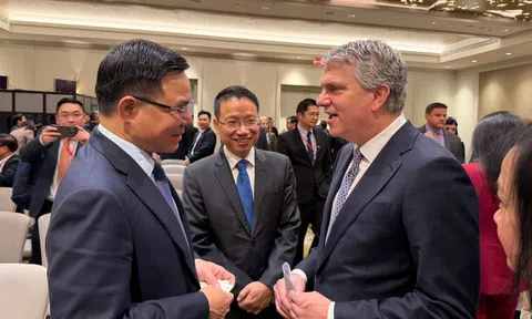 Quyền Bộ trưởng Bộ Công Thương trao đổi với Giám đốc cơ quan Thương mại quốc tế Mỹ