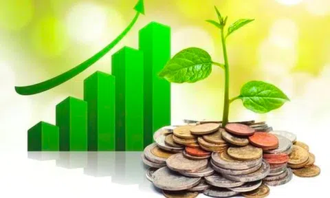 Loạt doanh nghiệp "lì xì" cổ tức tiền mặt cho cổ đông tuần đầu năm mới