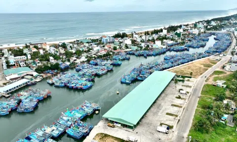 Cửa biển Tam Quan bồi lấp, Gia Lai ra lệnh nạo vét khẩn cấp