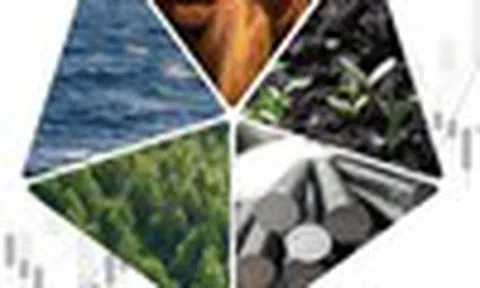 Đếm ngược phiên giao dịch đầu năm, BSC gợi ý các cổ phiếu theo phong thuỷ ngũ hành năm 2026