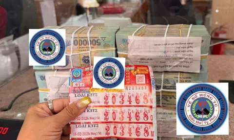 Xổ số miền Nam: Hai người suýt mất 10 tỉ đồng vì quên dò vé số Tết