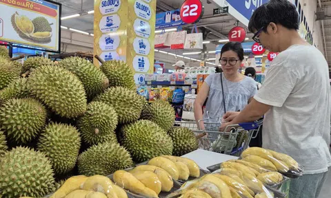 Giá sầu riêng ngược dòng nhiều loại nông sản