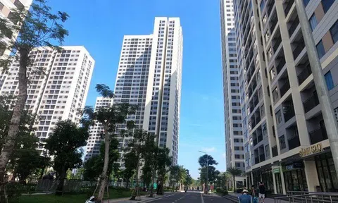 Căn hộ cho thuê hạ nhiệt, phòng trọ gia tăng lượng tìm thuê