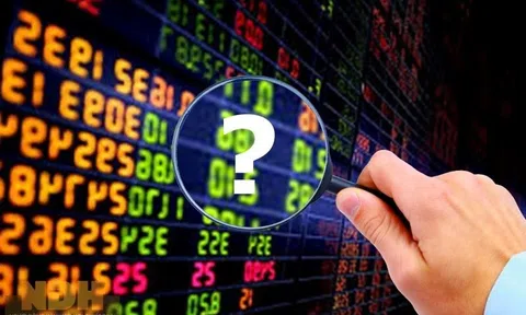 Công ty chứng khoán chỉ ra 28 doanh nghiệp có nền tảng tài chính vững chắc và triển vọng tăng trưởng hấp dẫn