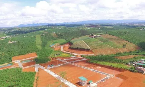 Tăng hỗ trợ, giảm áp lực tài chính khi chuyển mục đích sử dụng đất