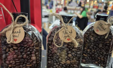 Giá cà phê hôm nay 8-3: Giá trên sàn tăng 3 con số, giá nội địa nhích nhẹ