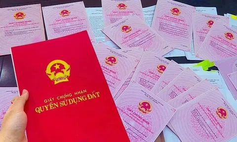 Chuyện lạ: Ngân hàng nhận thế chấp nhầm đất của người khác, buộc phải trả lại sổ đỏ