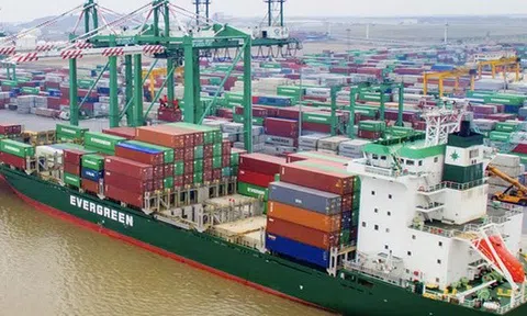 Viconship chốt quyền tham dự ĐHĐCĐ thường niên 2026