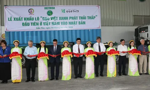 Giữ vững nhịp xuất khẩu gạo bằng chiến lược chất lượng cao