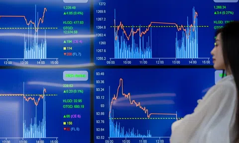 Nhà đầu tư 'đua nhau' bắt đáy, kéo VN-Index tăng hơn 50 điểm