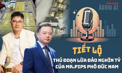 Audio: Shark Bình dùng Ngân Lượng rửa tiền cho đường dây lừa đảo của Mr Pips như nào?
