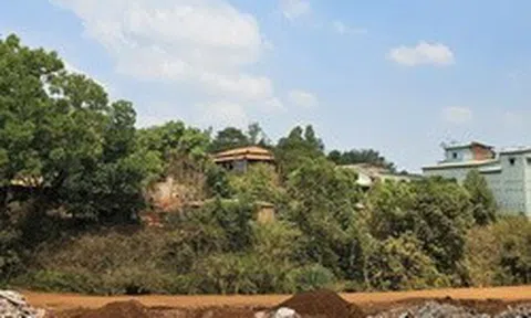 Loay hoay thu hồi hàng chục ngàn mét vuông đất rừng