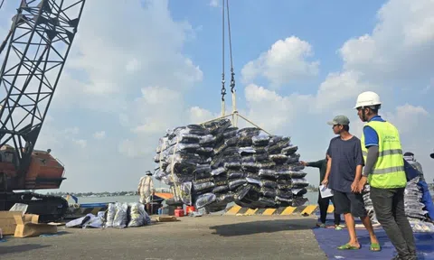 Cần Thơ thu 2.600 tỷ từ xổ số chỉ sau 2 tháng