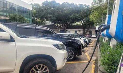 Thủ tướng: Nghiên cứu, ban hành chính sách khuyến khích phát triển xe điện