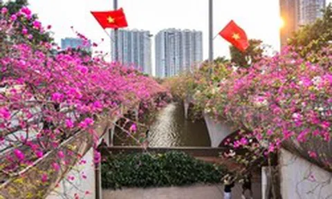 Hoa giấy phủ kín cầu Thủy Tiên, khung cảnh như 'xứ sở thần tiên'