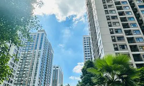 Nhà đầu tư bất động sản cần thoát hàng đang gia tăng