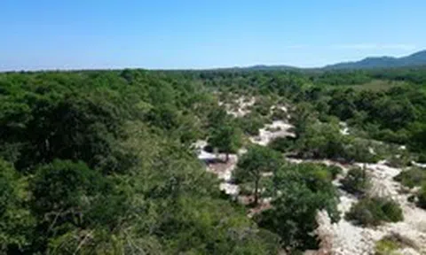 Làm rõ nguyên nhân giảm hơn 17.700 ha rừng tự nhiên ở Lâm Đồng