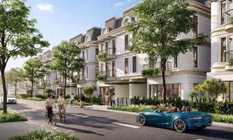 Theo dấu dòng tiền đi tìm tọa độ tăng trưởng mới