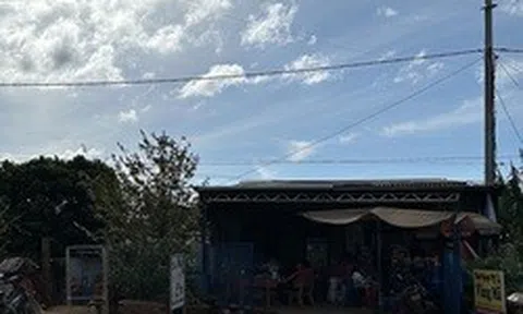 Gay cấn phiên đối thoại vụ cụ bà 82 tuổi khởi kiện chủ tịch xã ở Gia Lai