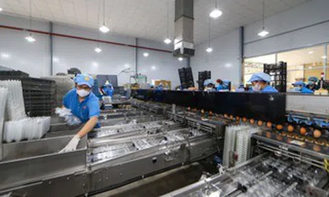 Doanh nghiệp xoay xở ra sao trước sức ép chi phí? (*): Chủ động tái cấu trúc