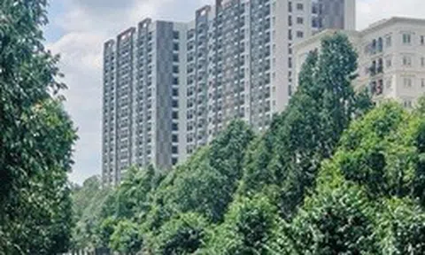 Đồng Nai cảnh báo không mua nhà ở xã hội qua "cò mồi", "suất ngoại giao"