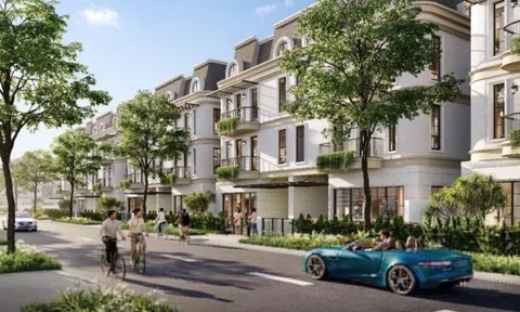 Theo dấu dòng tiền đi tìm tọa độ tăng trưởng mới