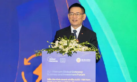 EU đầu tư hơn nửa tỷ euro phát triển năng lượng sạch ở Việt Nam