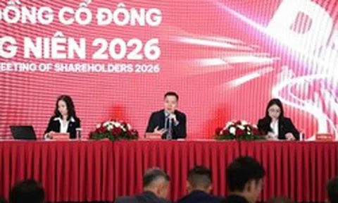 ĐHĐCĐ DNSE: Mục tiêu lợi nhuận tăng trên 60%, trả cổ tức tỷ lệ tối đa 7%