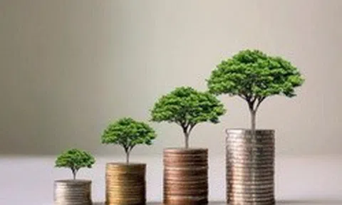 Loạt doanh nghiệp chốt quyền trả cổ tức trong tuần từ ngày 30/3-3/4