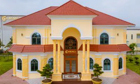 Đại gia thủy sản Camimex Group bị xử phạt vi phạm hành chính về thuế