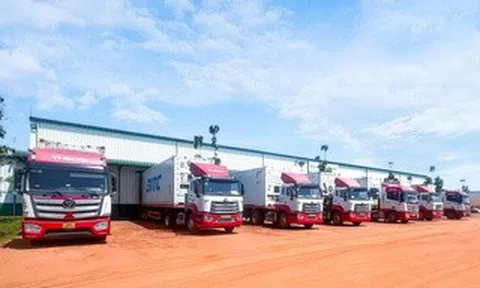 THILOGI tối ưu giải pháp chuỗi lạnh cho trái cây tươi xuất khẩu