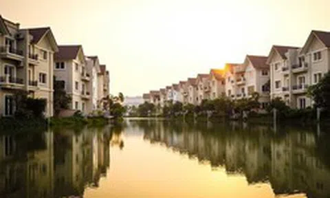 Một công ty địa ốc lãi 8,8 tỷ đồng