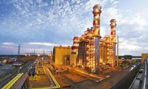 Một doanh nghiệp được dự báo lãi quý 1 tăng vọt, lên kế hoạch chia cổ tức tiền mặt gấp 3 lần