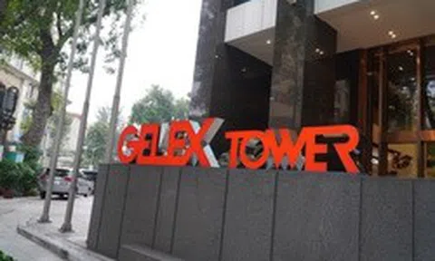 Ngày 1/4, GELEX tổ chức ĐHĐCĐ thường niên 2026