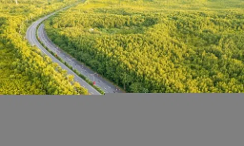 TP.HCM thúc giải phóng mặt bằng tuyến metro Bến Thành - Cần Giờ