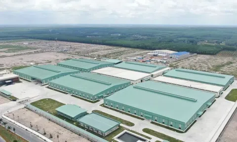 Lý do hàng loạt doanh nghiệp tại Đồng Nai bị xử phạt