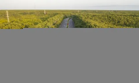 Vingroup đề xuất mở rộng đường Rừng Sác ở Cần Giờ lên 10 làn xe