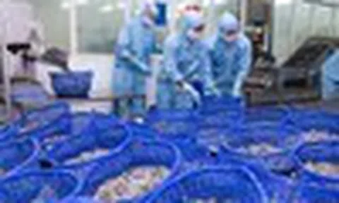 Cổ phiếu cần quan tâm ngày 6/4