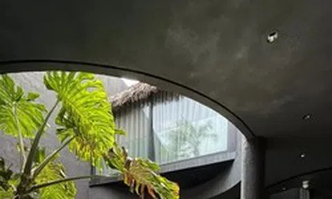 Ngôi nhà tông màu đen như 'ốc đảo' giữa lòng thành phố