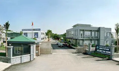 Phạt, truy thu thuế Công ty con của Hóa chất Đức Giang