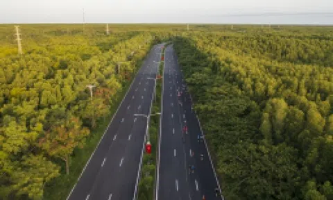 Vingroup đề xuất mở rộng đường Rừng Sác ở Cần Giờ lên 10 làn xe