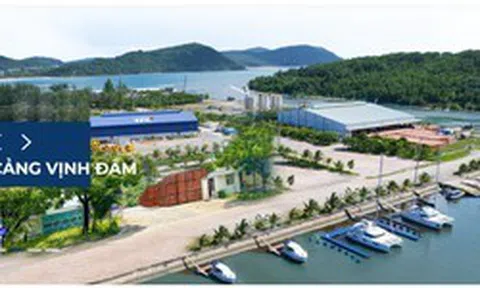 Doanh nghiệp liên quan đến TTC Land báo lãi ròng năm 2025 gần 6,6 tỷ đồng