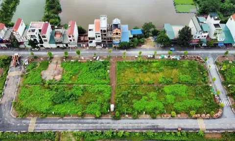 Hà Nội dự kiến đấu giá 306 dự án, khu đất để thu về 63.000 tỷ