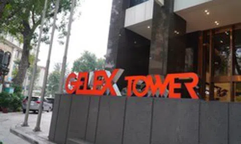 GELEX chia cổ tức và cổ phiếu thưởng tổng 45%, tăng vốn lên hơn 13.000 tỷ đồng