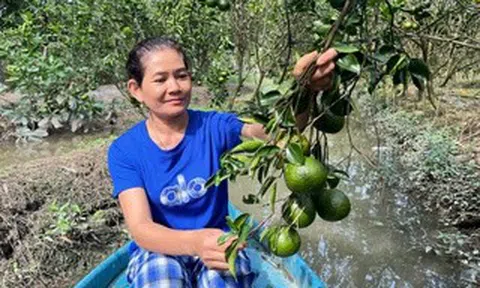 Điểm tựa cho phụ nữ khởi nghiệp