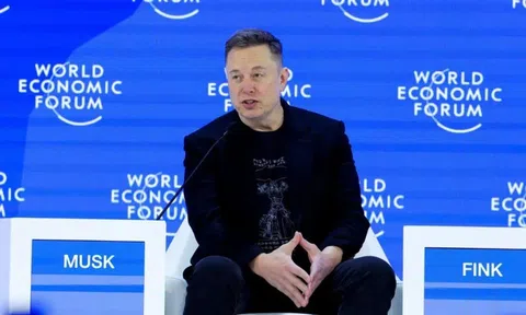 Elon Musk đăng TikTok, lập tài khoản trên Instagram?